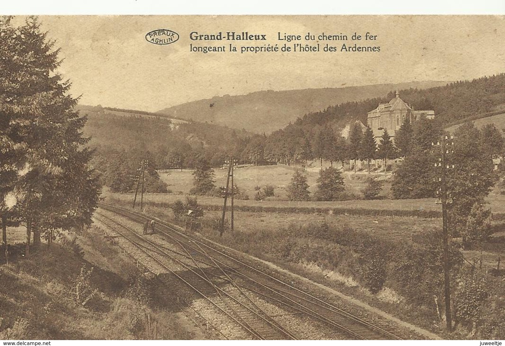 Grand-Halleux Ligne Du Chemin De Fer Longeant La Propriétè De L'hotel Des Ardennes  (12043) - Vielsalm