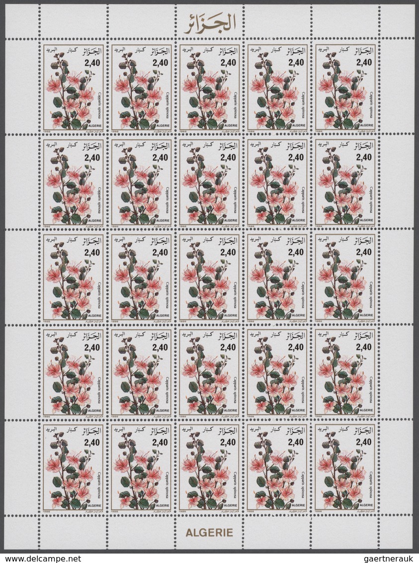 Algerien: 1974/1986, Big Investment Accumulation Of Full Sheets And Part Sheets. Varying Quantity. W - Ungebraucht