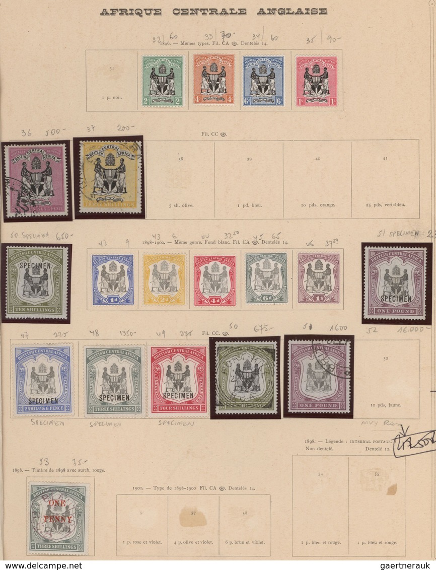 Britisch-Zentralafrika: 1891/1904, Used And Mint Collection Of 41 Stamps On Album Pages Incl. Severa - Sonstige & Ohne Zuordnung