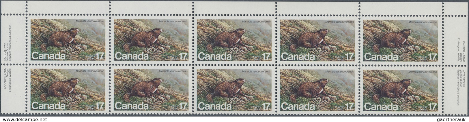 Kanada: 1960/1989 (ca.), Huge Stock Of These Years Issues In Varying Quantities (no Complete Year Se - Colecciones