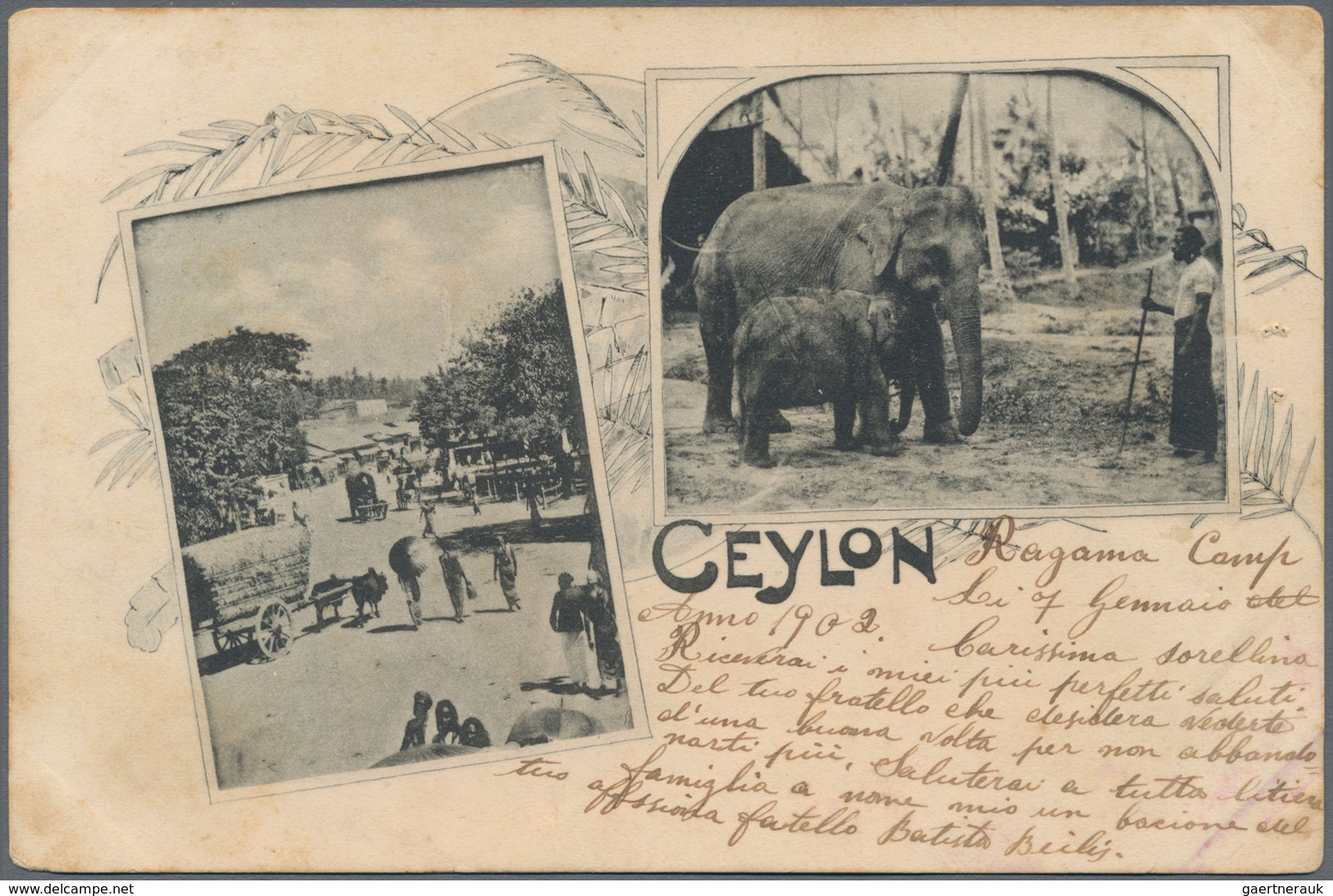 Ceylon / Sri Lanka: 1901/1902 (ca). Prisoner Of War Material, 9 Covers And 5 Cards All From POW Camp - Sri Lanka (Ceylon) (1948-...)