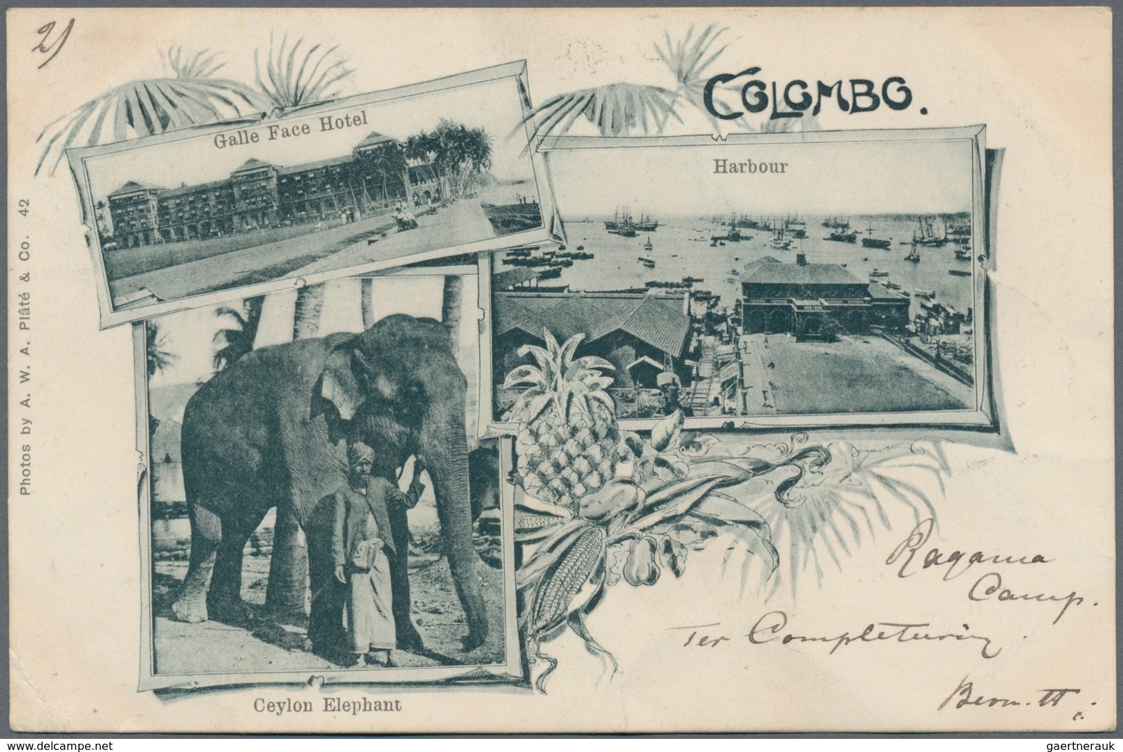 Ceylon / Sri Lanka: 1901-02 P.O.W. Mail: Collection Of 74 Picture Postcards (almost All Different) F - Sri Lanka (Ceilán) (1948-...)