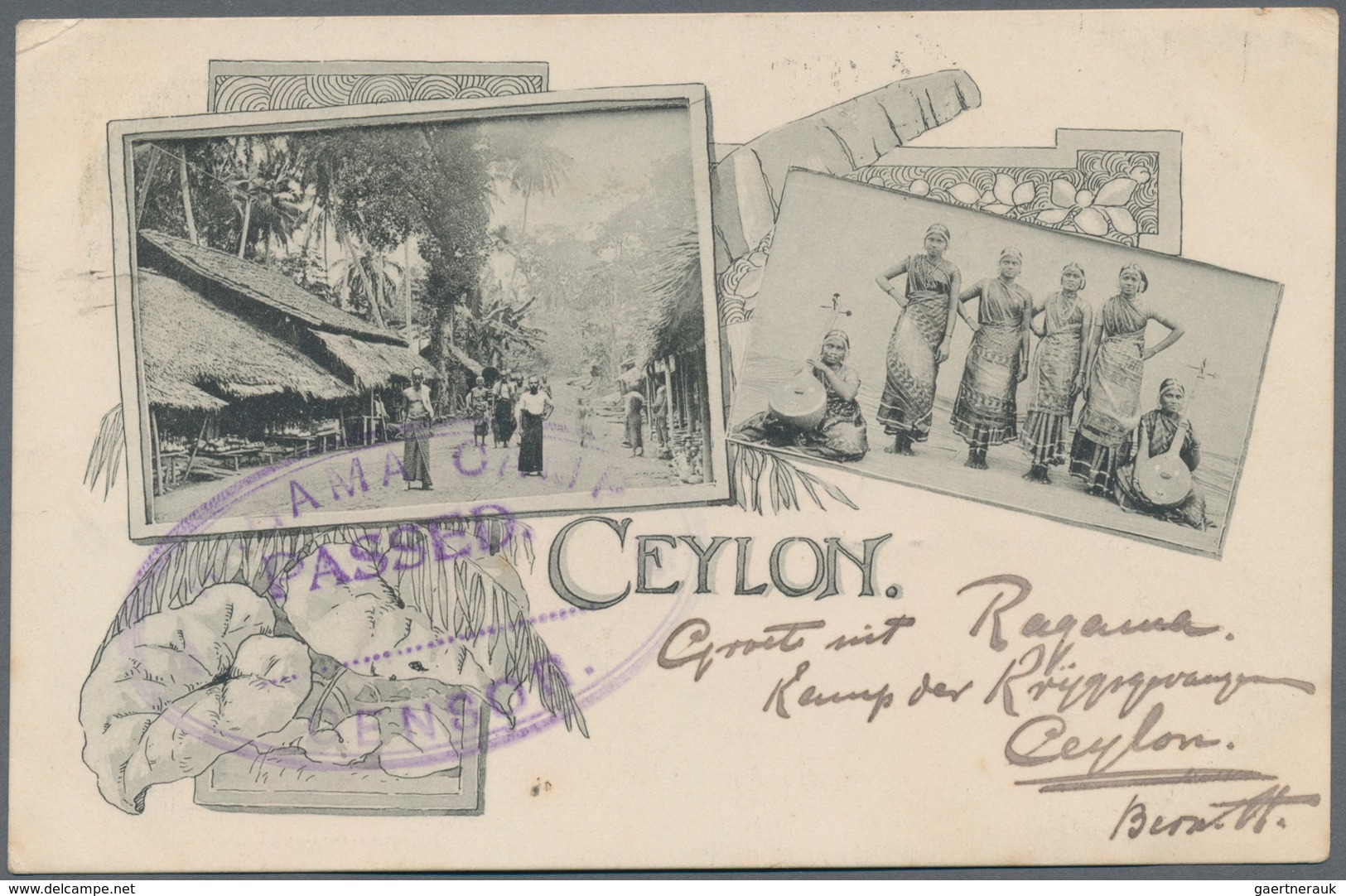 Ceylon / Sri Lanka: 1901-02 P.O.W. Mail: Collection of 74 picture postcards (almost all different) f