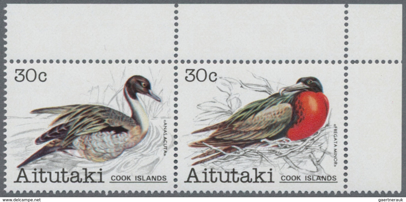 Cook-Inseln: 1974/1991, Duplicated Accumulation Incl. AITUTAKI, NIUE And PENRHYN In Box With Very Ma - Cook