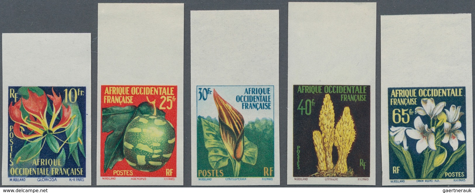 Französisch-Westafrika: 1958/1959, Flower Definitives Complete Set Of Five In A Lot With 120 IMPERFO - Sonstige & Ohne Zuordnung
