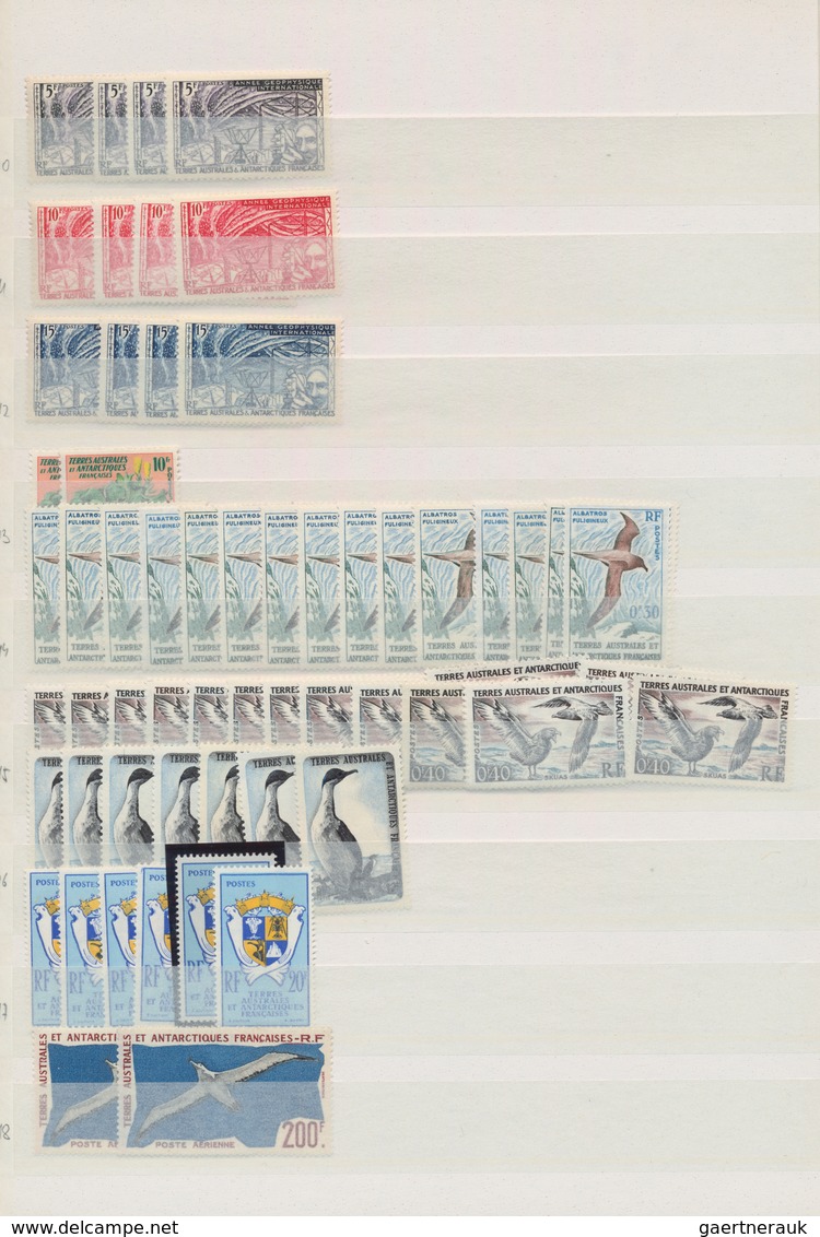 Französische Gebiete In Der Antarktis: 1956/2008, Comprehensive MNH Accumulation In A Stockbook, Wel - Briefe U. Dokumente