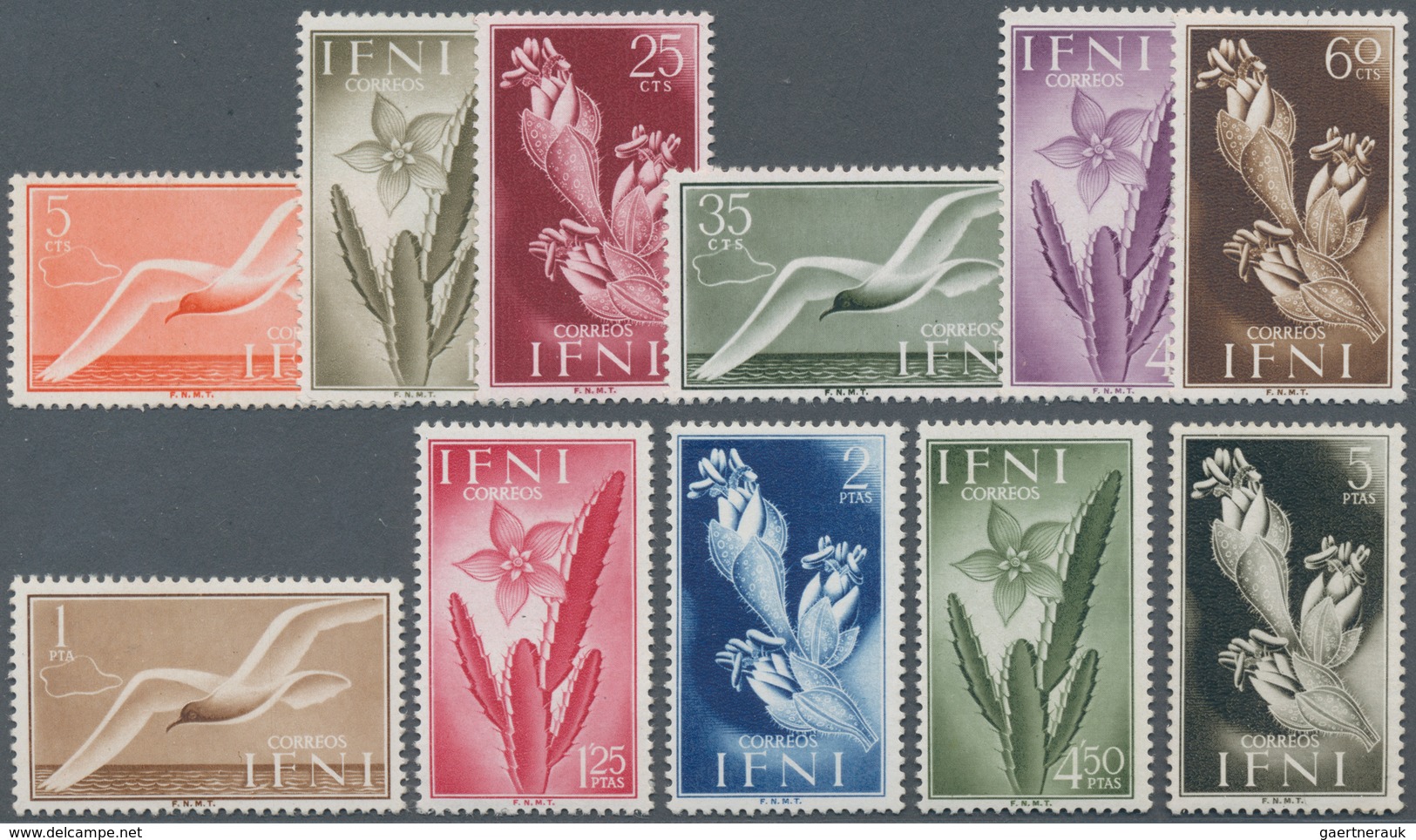 Ifni: 1954, Plants Complete Set Of 11 In A Lot With 58 Sets Incl. Many Blocks/4 And Several Larger B - Ifni