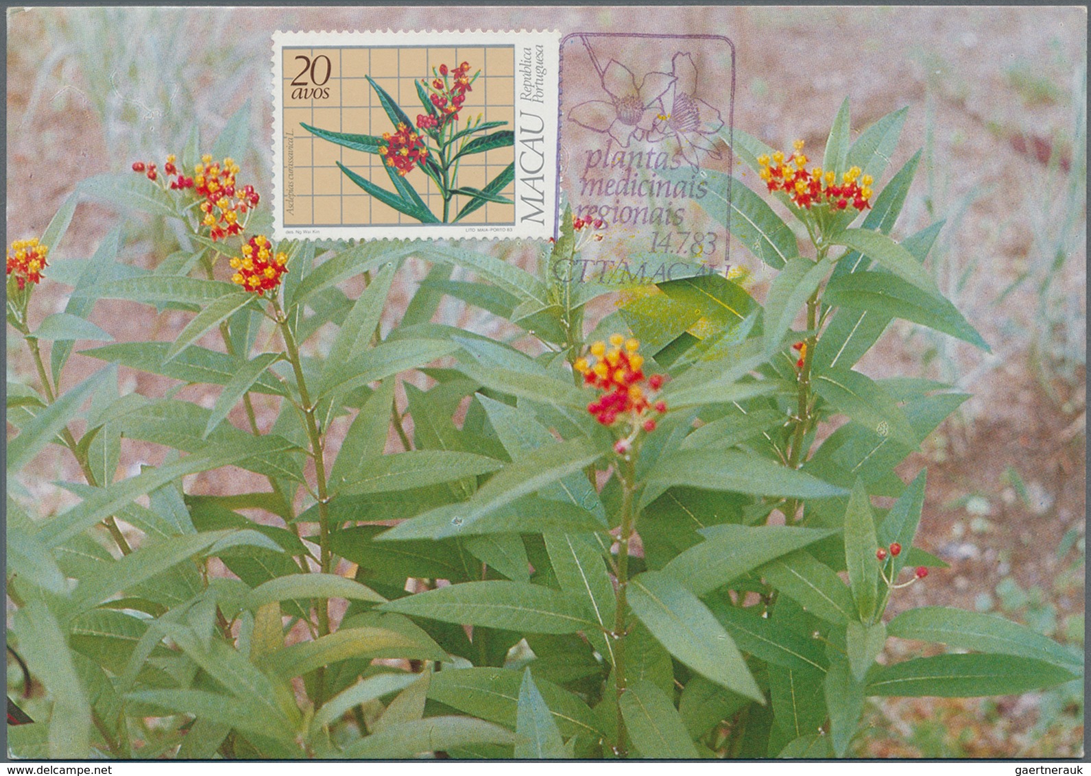 Macau: 1953/95, Collection Of FDC (inc. Some MC) Mounted On Stockpages, Inc. 1953 Flowers, 1980 (1), - Usados