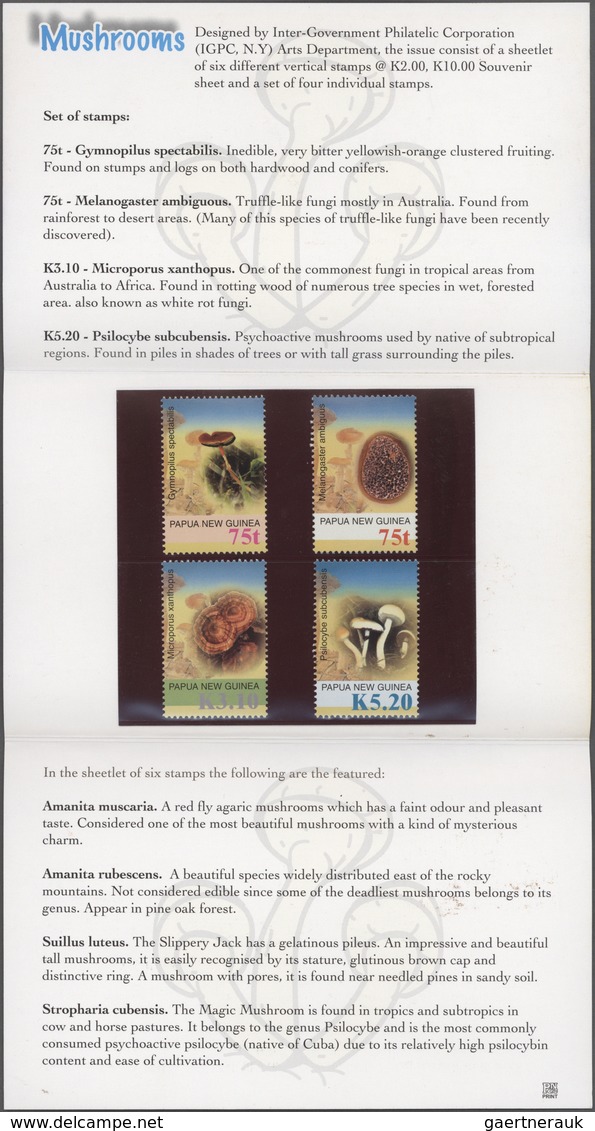 Papua Neuguinea: 1996/2008 Huge stock of so-called PNG STAMP PACKS, each containing a complete stamp