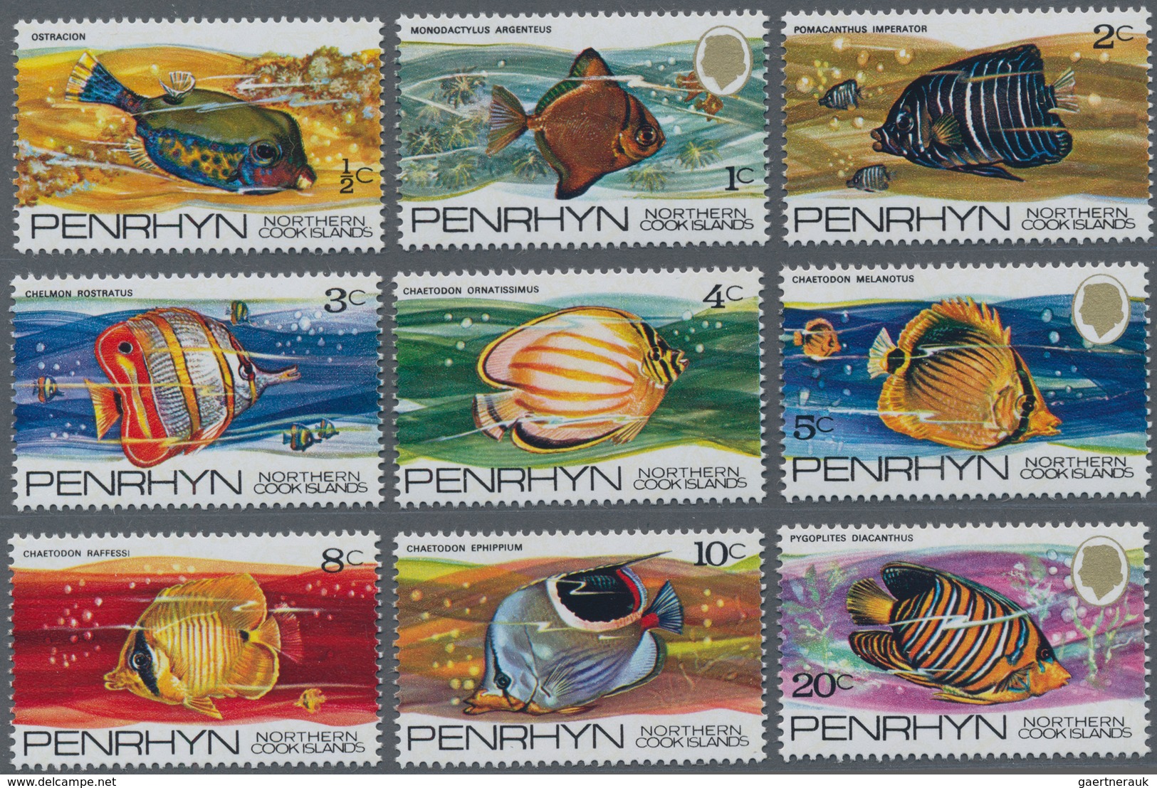 Penrhyn: 1974, Fishes Definitives Complete Set Of 12 In A Lot With 640 Sets In Part Sheets, MNH And - Penrhyn