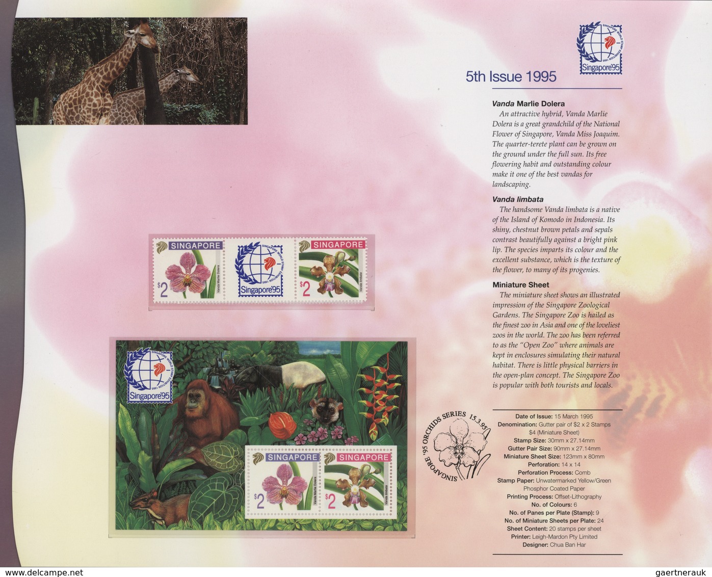 Singapur: 1991/1995, Stamp Exhibition SINGAPORE '95 ("Orchids"), lot of 88 presentation folders with