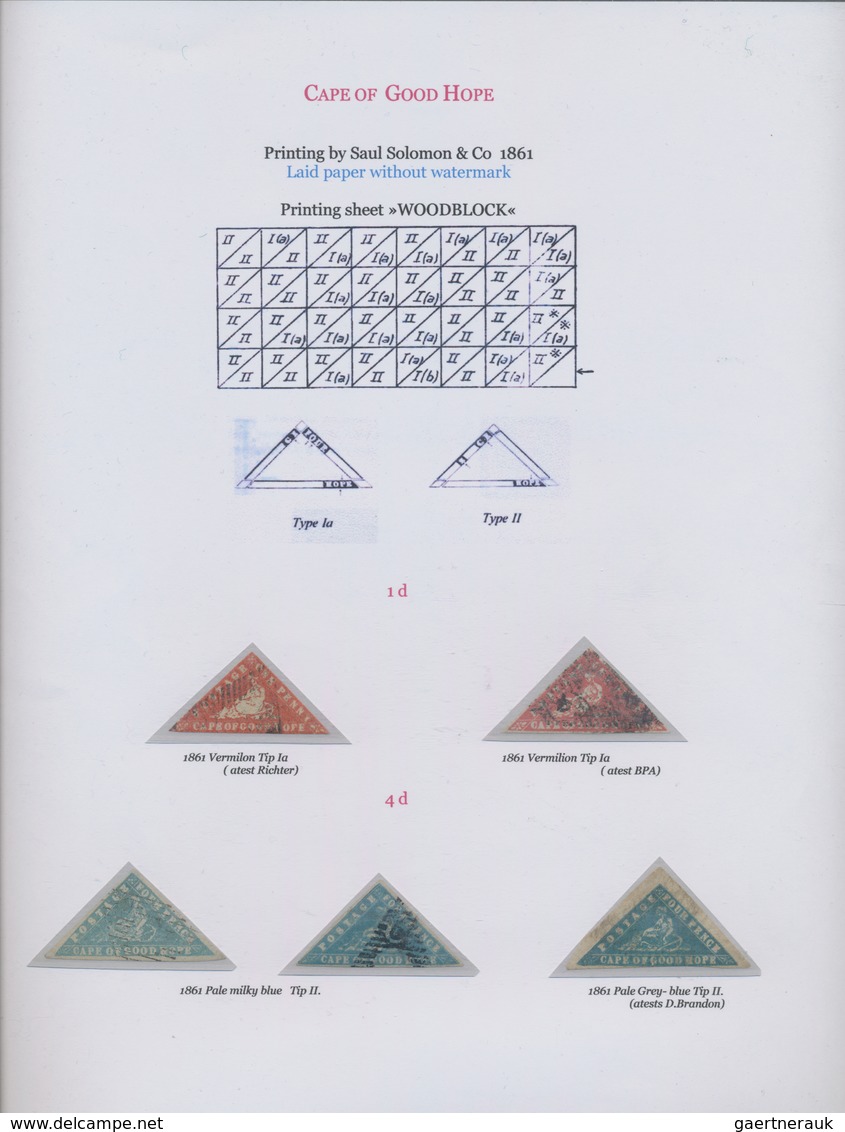 Kap der Guten Hoffnung: 1853-1864: Exhibition collection of more than 160 stamps, including 67 Trian