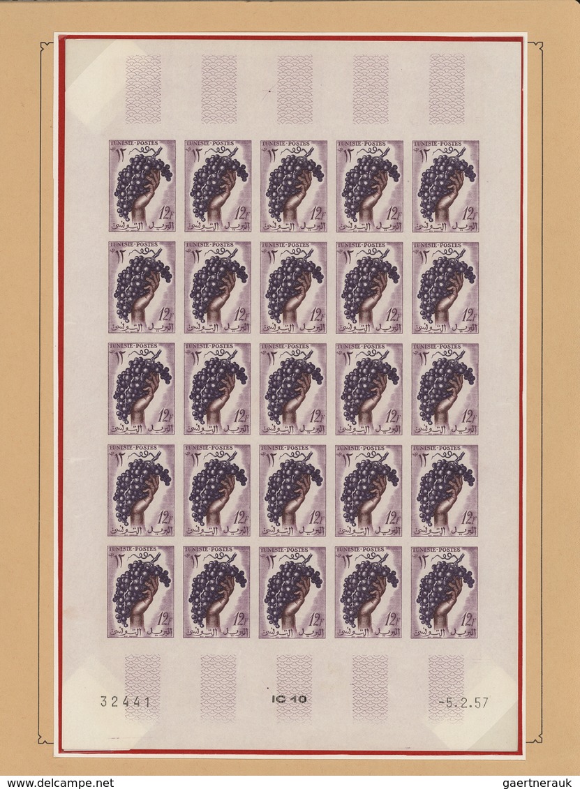 Tunesien: 1957/1963, extraordinary mint collection of apprx. 2.600 IMPERFORATE stamps within large u