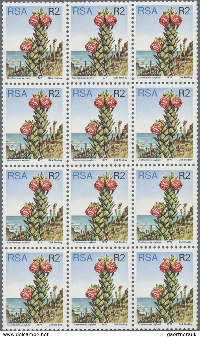 Afrika: 1890/1980 (ca.), accumulation on stockcards in box with stamps through the whole continent i