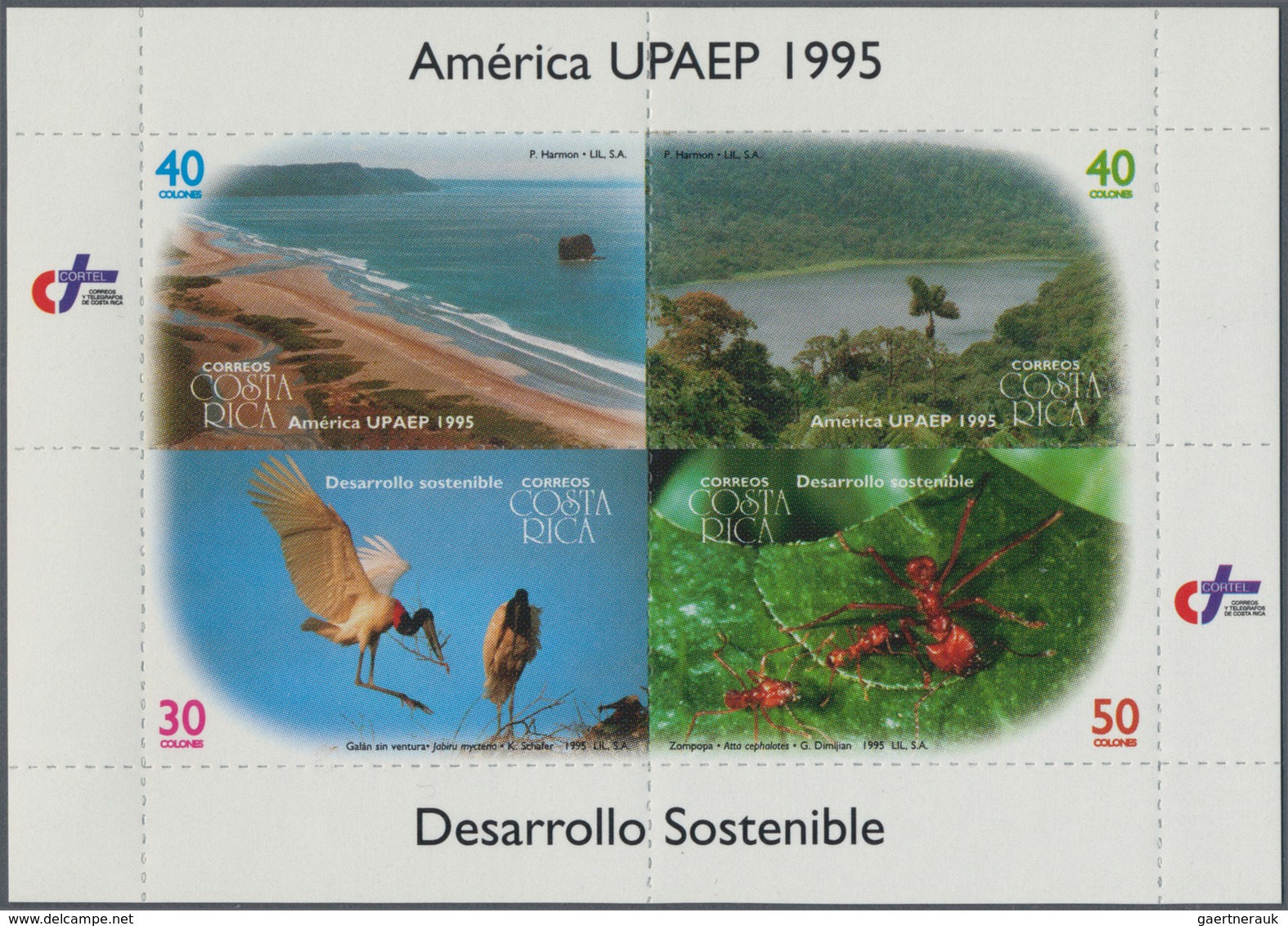 Mittel- Und Südamerika: 1989/1995, CENTRAL AMERICA: Very Unusual Accumulation Of The Joint Issues ‚A - Otros - América