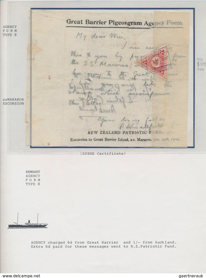Brieftaubenpost: 1899/1904, NEW ZEALAND "THE GREAT BARRIER ISLAND PIGEON MAIL", Extraordinary And De - Tauben & Flughühner