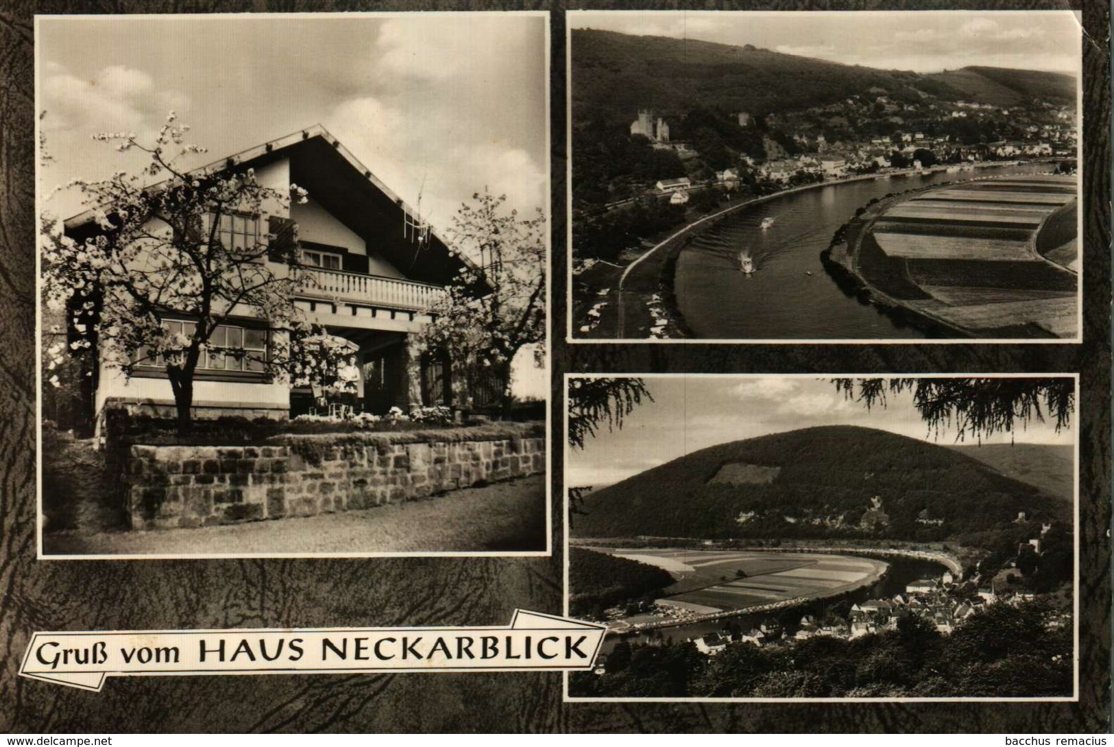 NECKARSTEINACH Haus Neckarblick, Am BISCHOFSWALD, 17 - Heppenheim