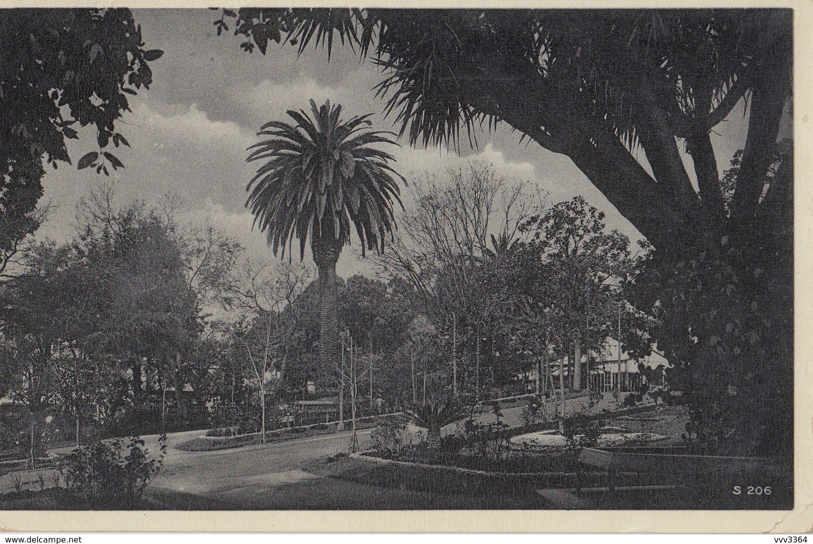 FUNCHAL - MADEIRA: Public Garden - Madeira