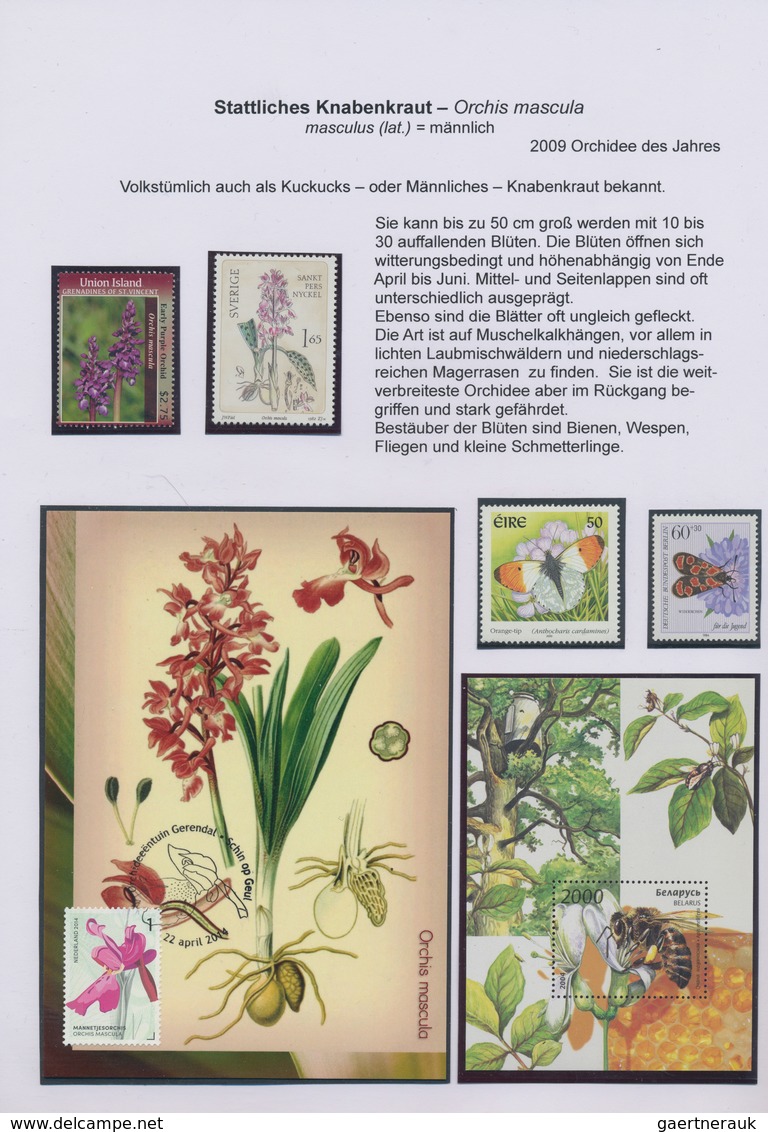 Thematik: Flora, Botanik / Flora, Botany, Bloom: 1940/2015 (ca.), Mint And Used Collection/accumulat - Otros & Sin Clasificación