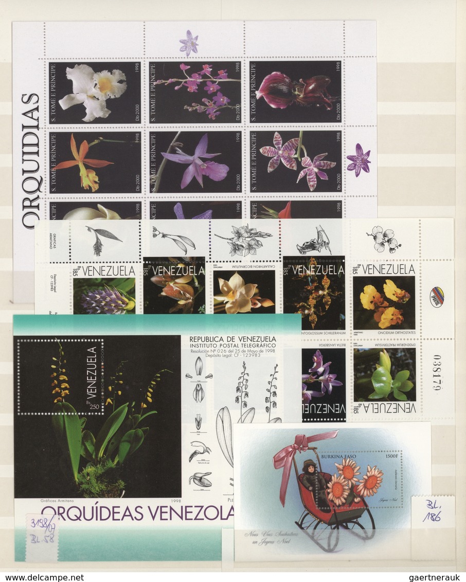 Thematik: Flora, Botanik / Flora, Botany, Bloom: 1950/2000 (ca.), Mainly Modern Issues, Comprehensiv - Otros & Sin Clasificación
