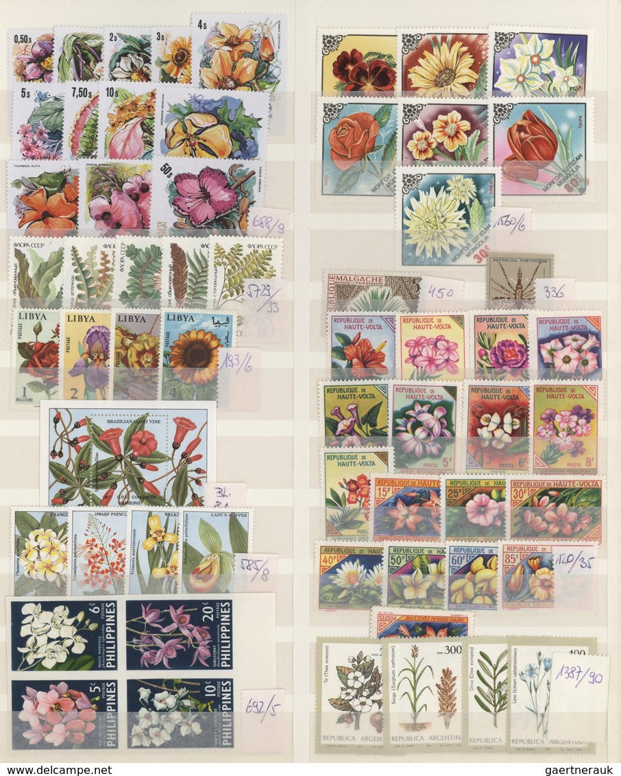 Thematik: Flora, Botanik / Flora, Botany, Bloom: 1950/2000 (ca.), Mainly Modern Issues, Comprehensiv - Sonstige & Ohne Zuordnung