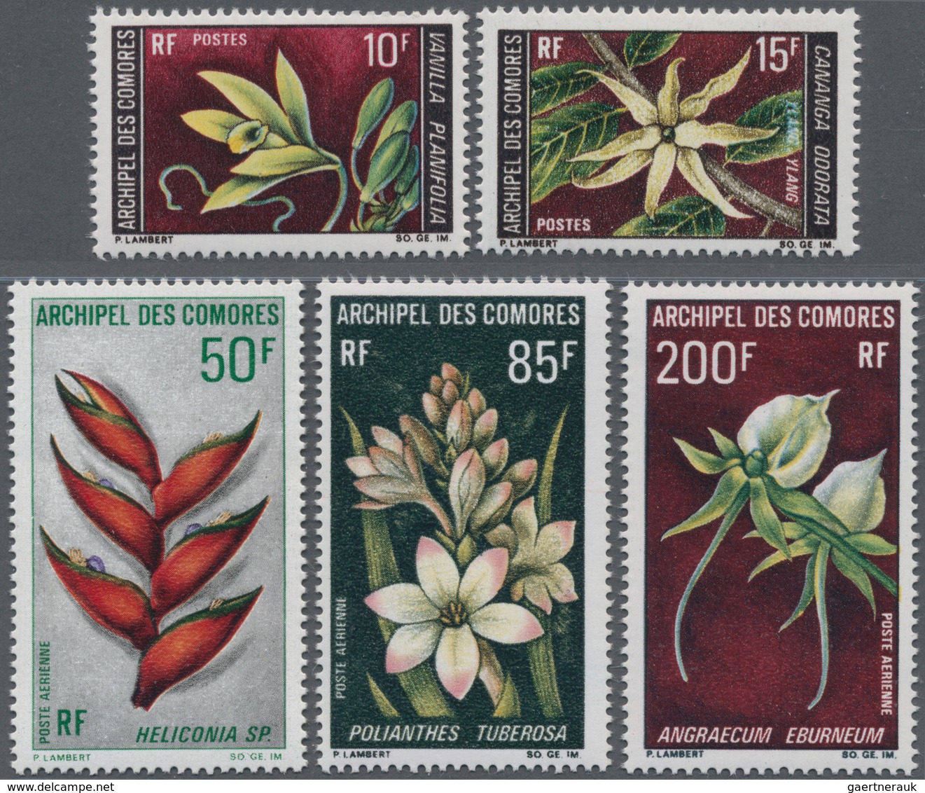 Thematik: Flora, Botanik / Flora, Botany, Bloom: 1969, COMORES: Flowers Complete Set Of Five Incl. T - Otros & Sin Clasificación