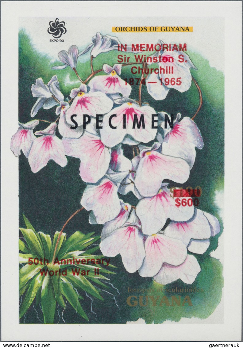 Thematik: Flora, Botanik / Flora, Botany, Bloom: Ab Ca. 1970, ALLE WELT, Sammlung Mit Ca. 350 Stck. - Sonstige & Ohne Zuordnung