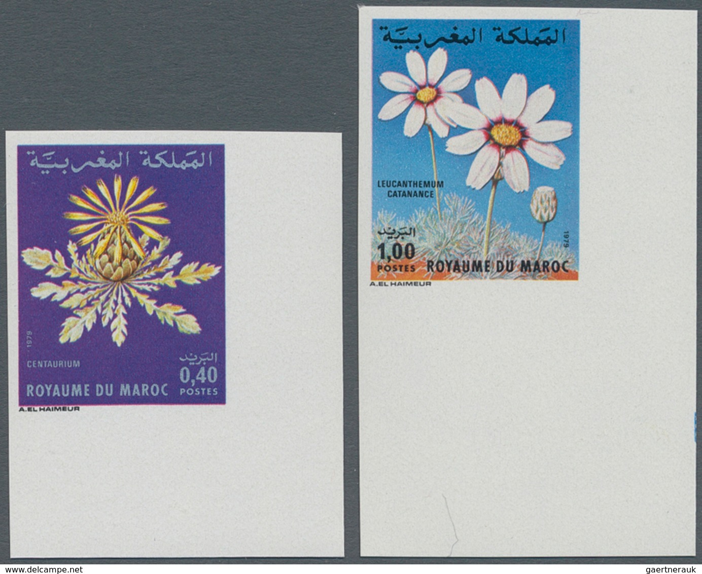 Thematik: Flora, Botanik / Flora, Botany, Bloom: 1979, MOROCCO: Flowers Set Of Two 0.40dh. ‚Centaure - Sonstige & Ohne Zuordnung
