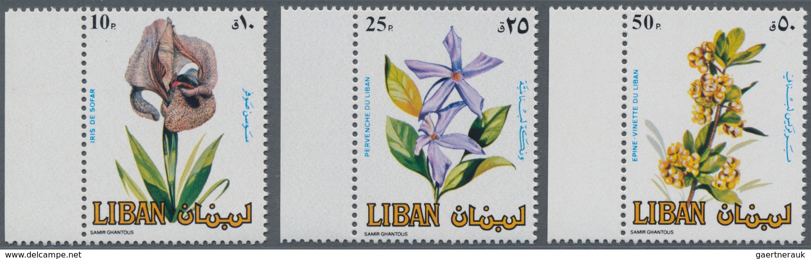Thematik: Flora, Botanik / Flora, Botany, Bloom: 1984, LEBANON: Flowers Complete Set Of Three In A L - Otros & Sin Clasificación