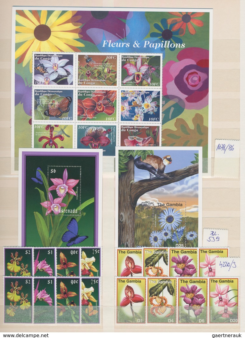 Thematik: Flora, Botanik / Flora, Botany, Bloom: 1990/2000 (ca.), Flowers, Comprehensive MNH Accumul - Other & Unclassified