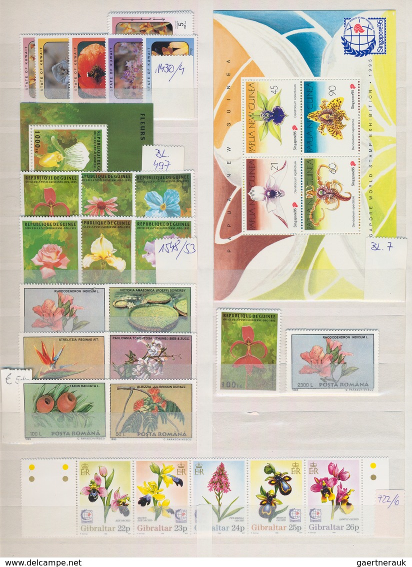 Thematik: Flora, Botanik / Flora, Botany, Bloom: 1990/2000 (ca.), Flowers, Comprehensive MNH Accumul - Sonstige & Ohne Zuordnung