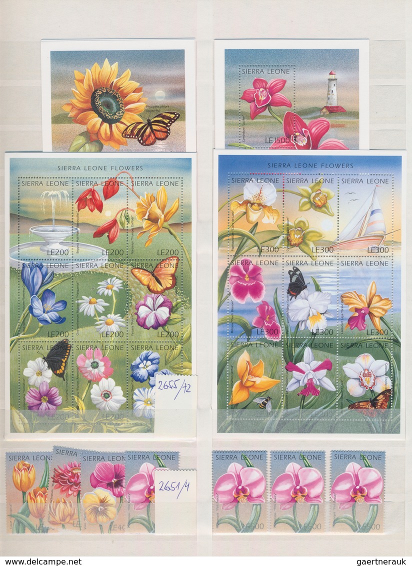 Thematik: Flora, Botanik / Flora, Botany, Bloom: 1990/2000 (ca.), Flowers, Comprehensive MNH Accumul - Otros & Sin Clasificación