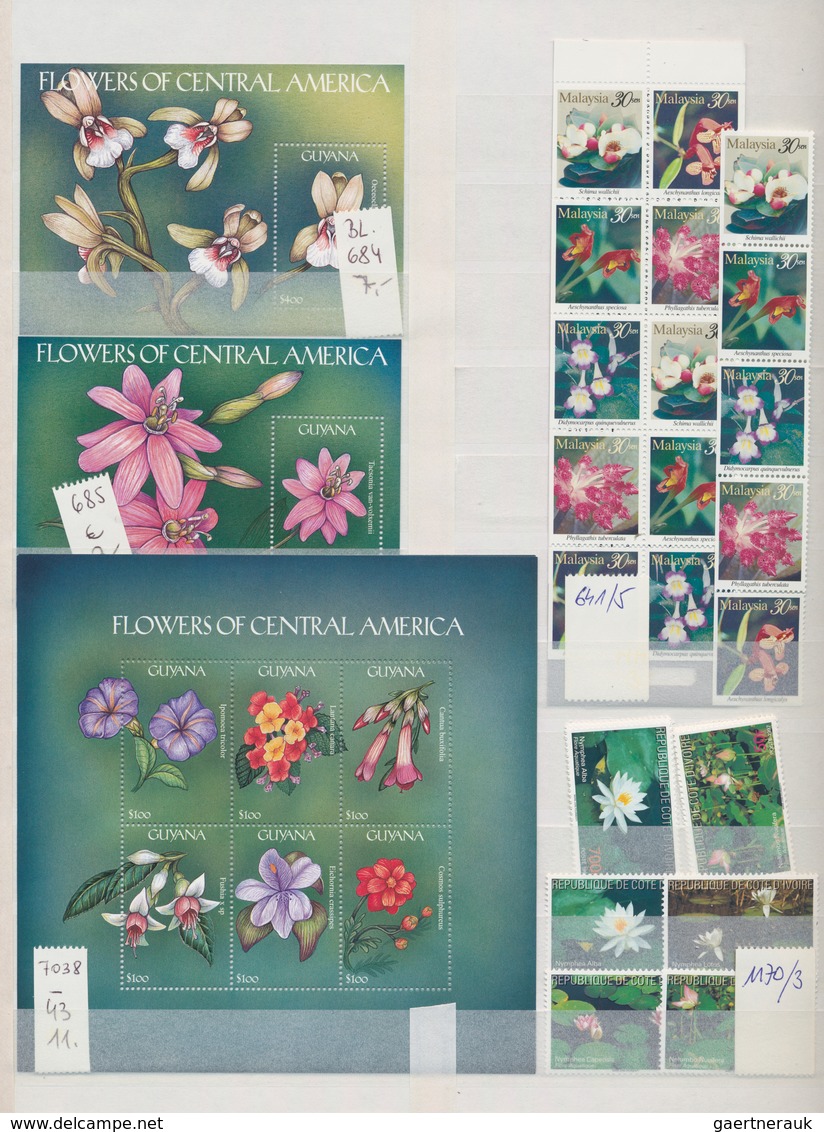 Thematik: Flora, Botanik / Flora, Botany, Bloom: 1990/2000 (ca.), Flowers, Comprehensive MNH Accumul - Sonstige & Ohne Zuordnung