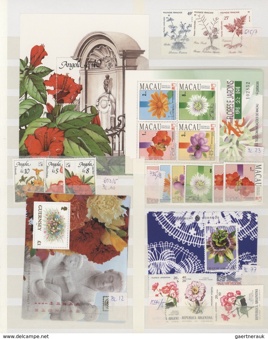 Thematik: Flora, Botanik / Flora, Botany, Bloom: 1990/2000 (ca.), Flowers, Comprehensive MNH Accumul - Otros & Sin Clasificación