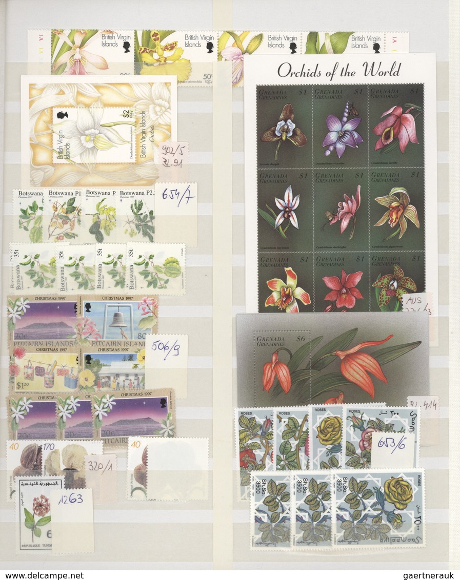 Thematik: Flora, Botanik / Flora, Botany, Bloom: 1990/2000 (ca.), Flowers, Comprehensive MNH Accumul - Otros & Sin Clasificación