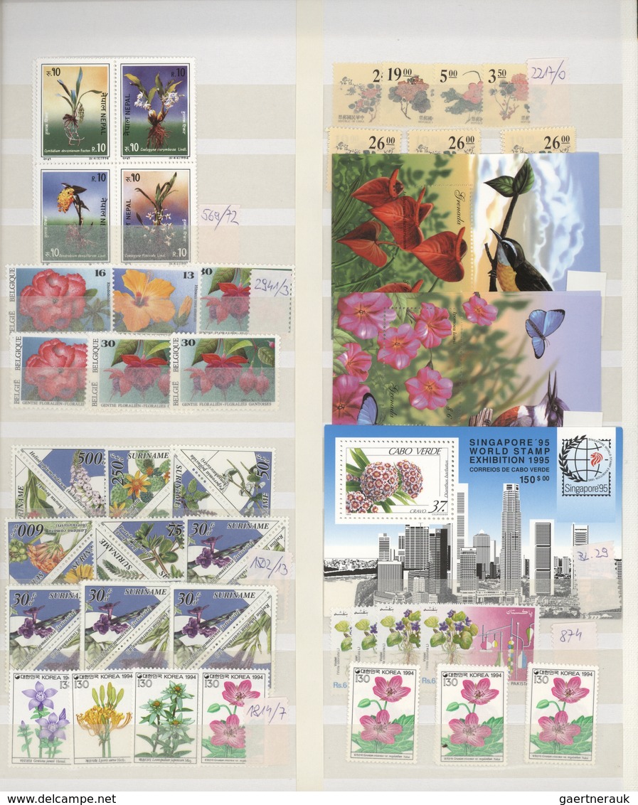 Thematik: Flora, Botanik / Flora, Botany, Bloom: 1990/2000 (ca.), Flowers, Comprehensive MNH Accumul - Otros & Sin Clasificación