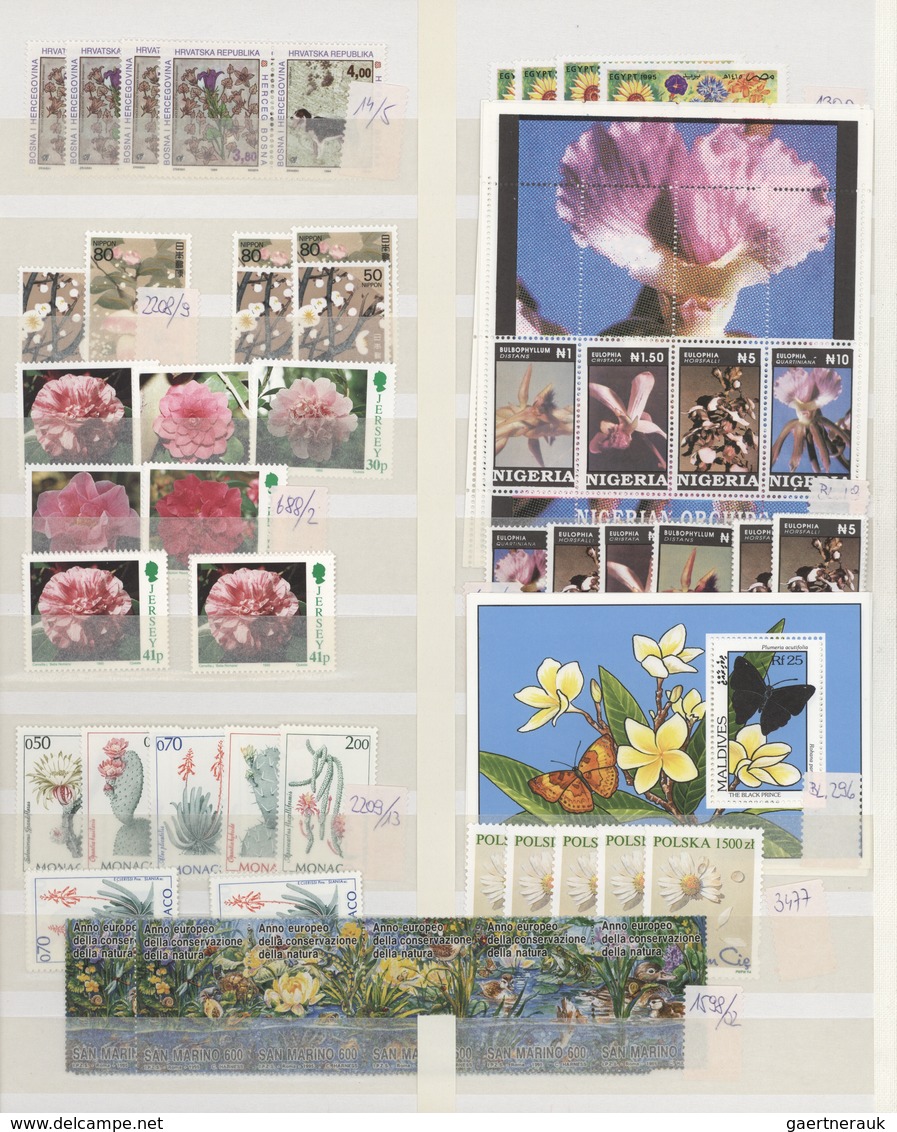 Thematik: Flora, Botanik / Flora, Botany, Bloom: 1990/2000 (ca.), Flowers, Comprehensive MNH Accumul - Otros & Sin Clasificación