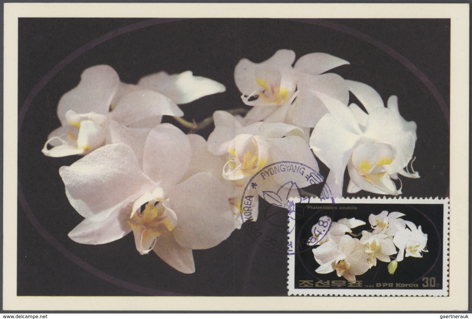 Thematik: Flora-Orchideen / flora-orchids: 1905/2011 (ca.), Enormously extensive collection of this