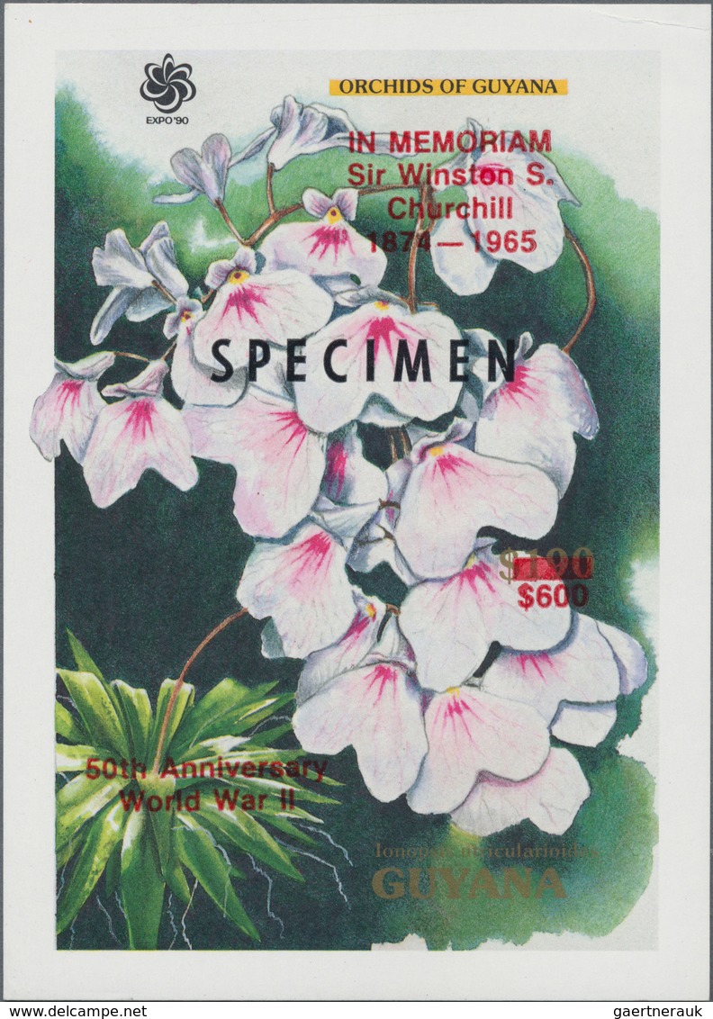 Thematik: Flora-Orchideen / Flora-orchids: 1958 (ab Ca.), ALLE WELT, Viel Guyana, Sammlung Mit Ca. 4 - Orchideen