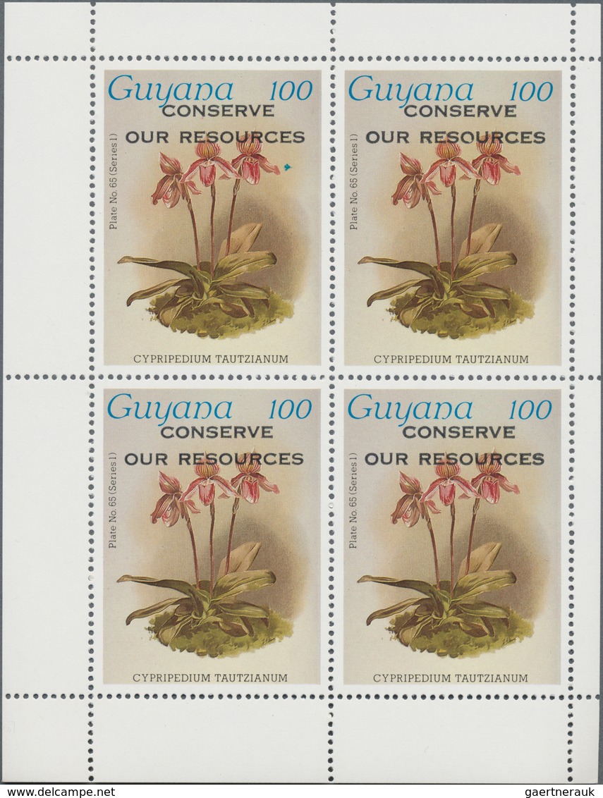 Thematik: Flora-Orchideen / Flora-orchids: 1958 (ab Ca.), ALLE WELT, Viel Guyana, Sammlung Mit Ca. 4 - Orquideas