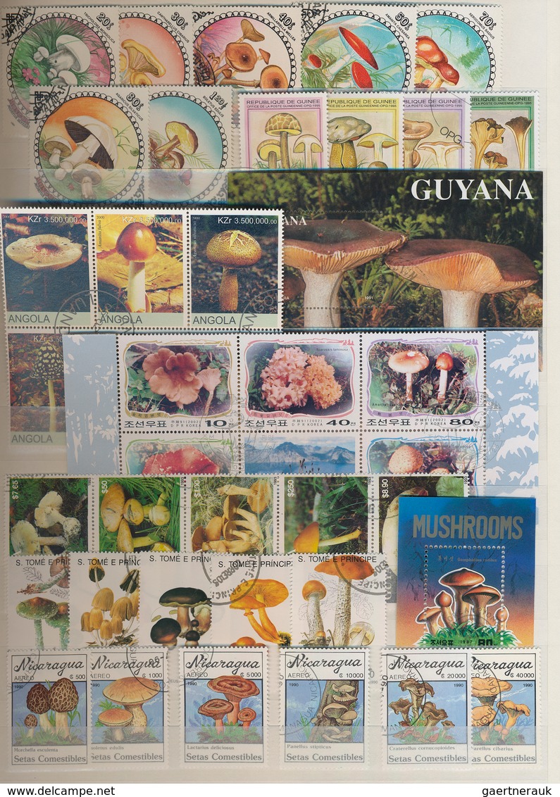 Thematik: Pilze / Mushrooms: 1958 - 2008 (ca.), Comprehensive, Mostly Stamped Collection Of 488 Diff - Mushrooms