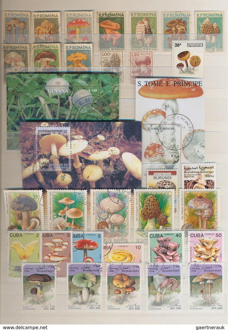 Thematik: Pilze / Mushrooms: 1958 - 2008 (ca.), Comprehensive, Mostly Stamped Collection Of 488 Diff - Mushrooms