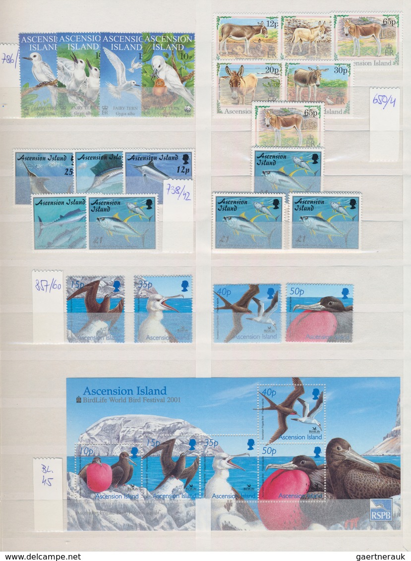 Thematik: Tiere, Fauna / Animals, Fauna: 1940/2000 (ca.), Mainly Modern Issues, Comprehensive MNH Ac - Other & Unclassified