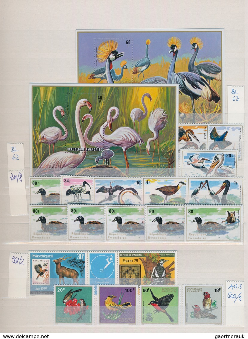 Thematik: Tiere, Fauna / Animals, Fauna: 1940/2000 (ca.), Mainly Modern Issues, Comprehensive MNH Ac - Other & Unclassified