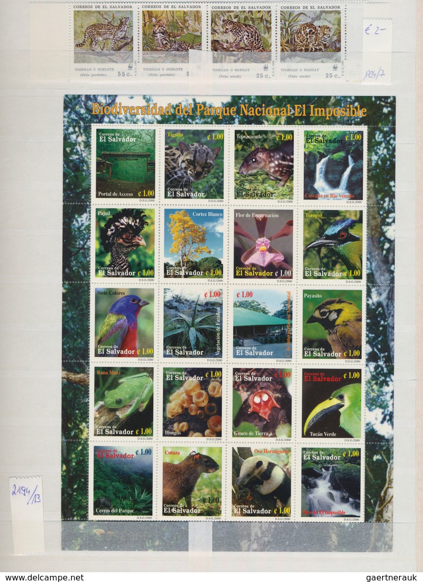 Thematik: Tiere, Fauna / Animals, Fauna: 1950/2000 (ca.), Mainly Modern Issues, Comprehensive MNH Ac - Andere & Zonder Classificatie