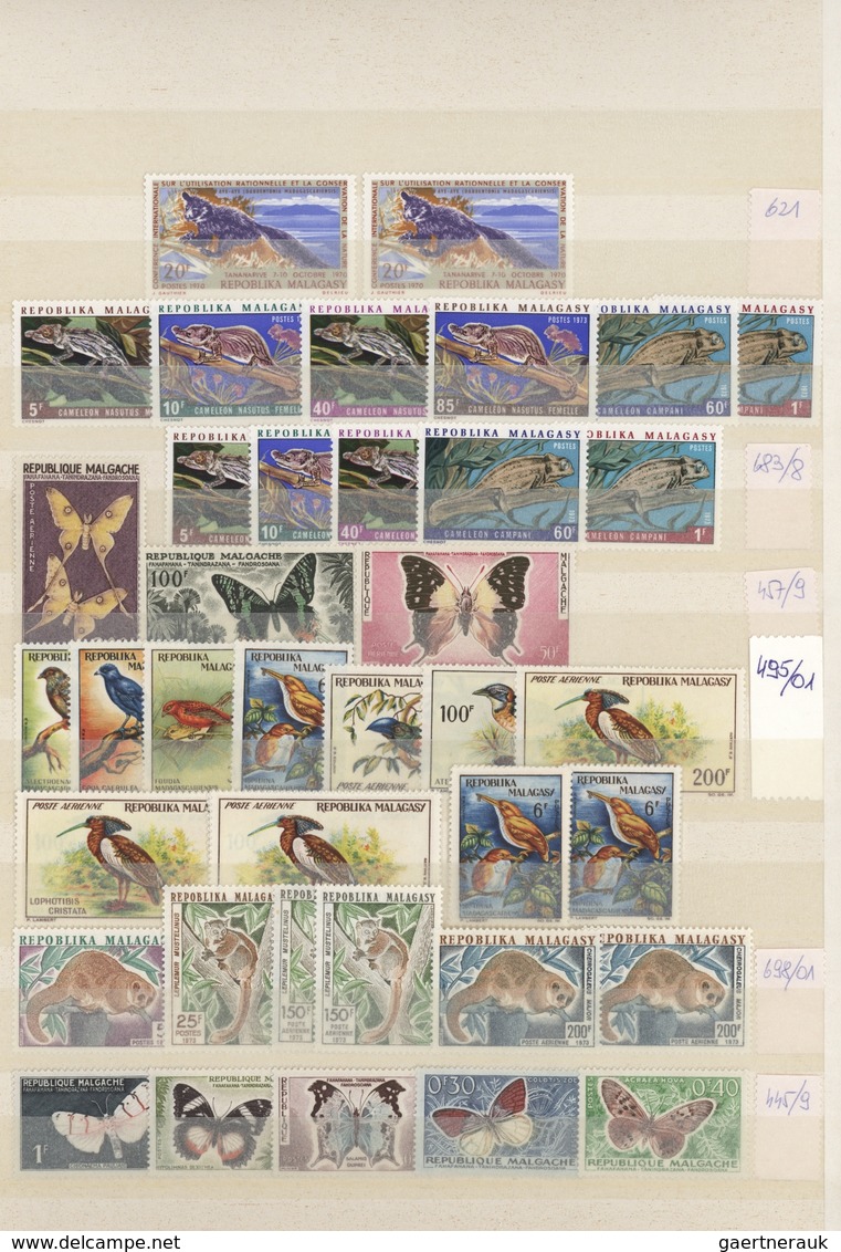 Thematik: Tiere, Fauna / Animals, Fauna: 1960/2000 (ca.), Comprehensive MNH Accumulation In A Stockb - Otros & Sin Clasificación