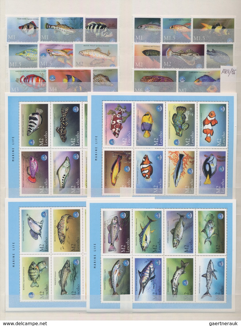 Thematik: Tiere, Fauna / Animals, Fauna: 1960/2000 (ca.), Mainly Modern Issues, Comprehensive MNH Ac - Sonstige & Ohne Zuordnung
