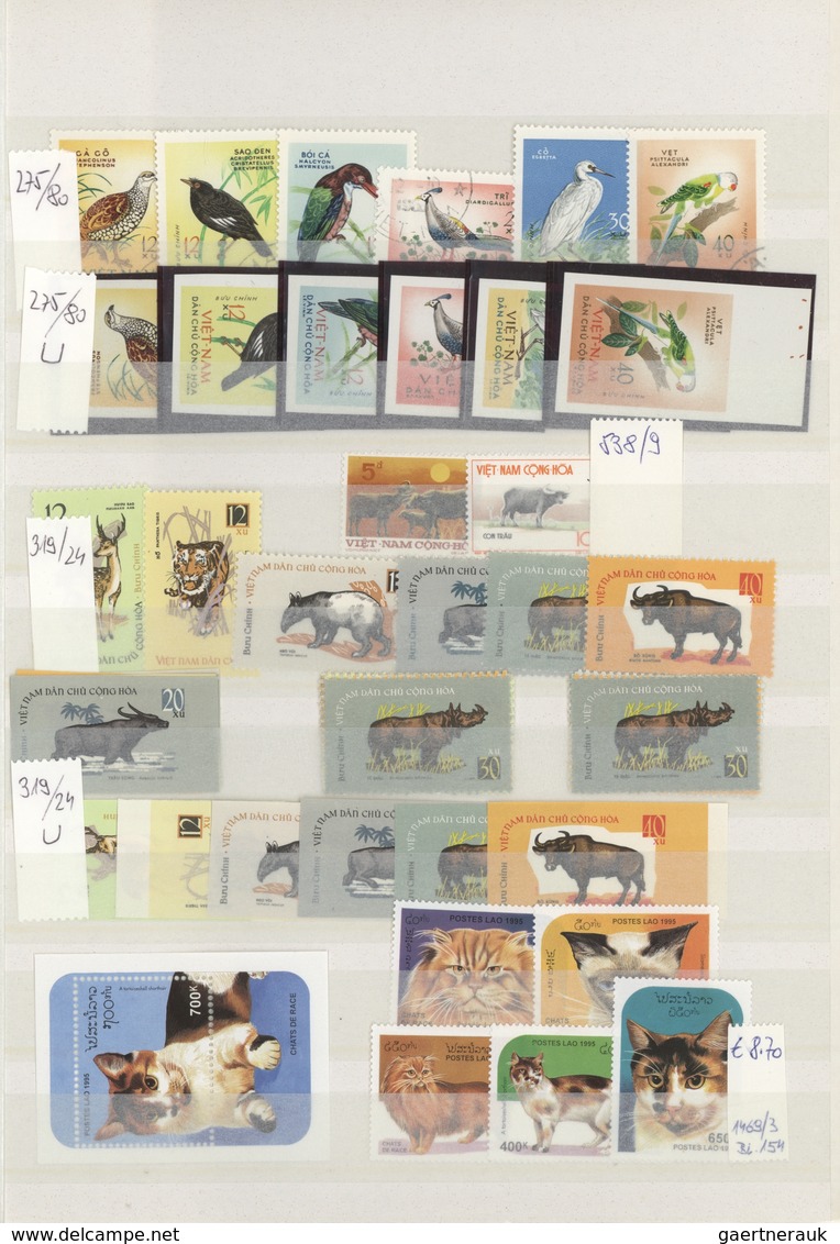 Thematik: Tiere, Fauna / Animals, Fauna: 1960/2005 (ca.), Mainly Modern Issues, Comprehensive MNH Ac - Other & Unclassified