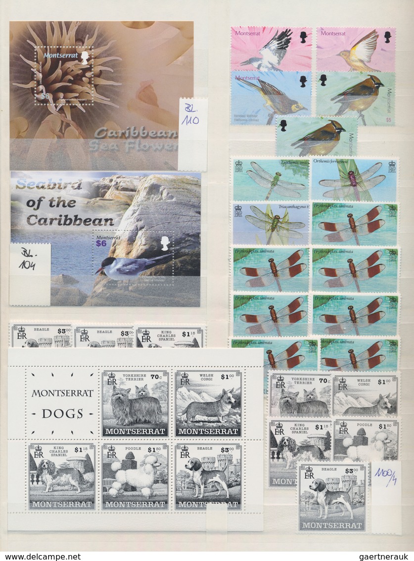 Thematik: Tiere, Fauna / Animals, Fauna: 1980/2000 (ca.), Mainly Modern Issues, Comprehensive MNH Ac - Altri & Non Classificati