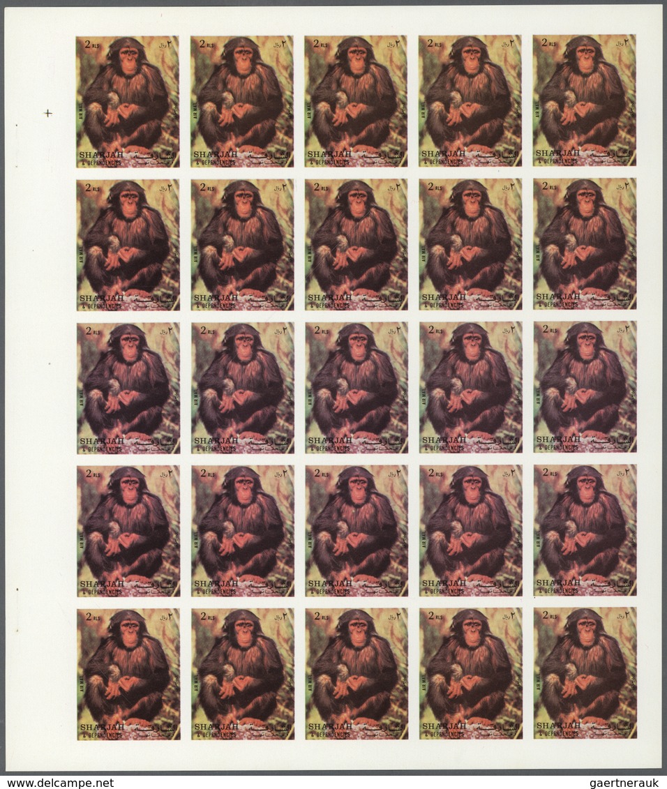Thematik: Tiere-Affen / Animals-monkeys: 1972. Sharjah. Progressive Proof (6 Phases) In Complete She - Monkeys